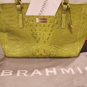 Brahmin Purse